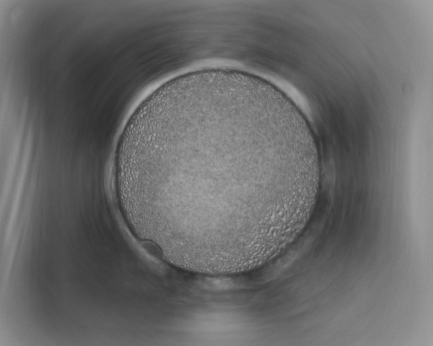 X0000111130911200907141208