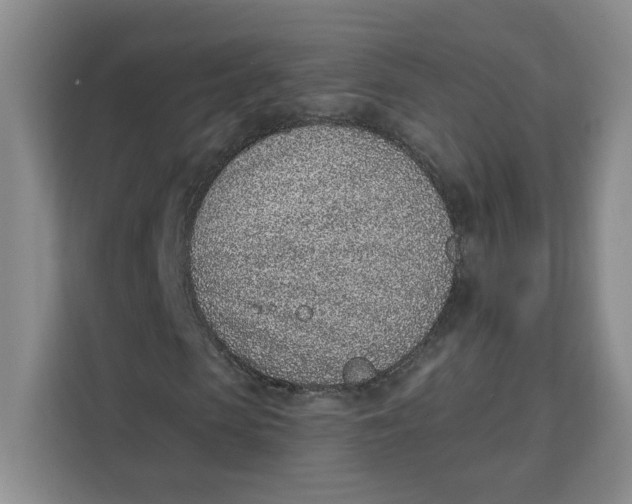 X0000111130913200907141208