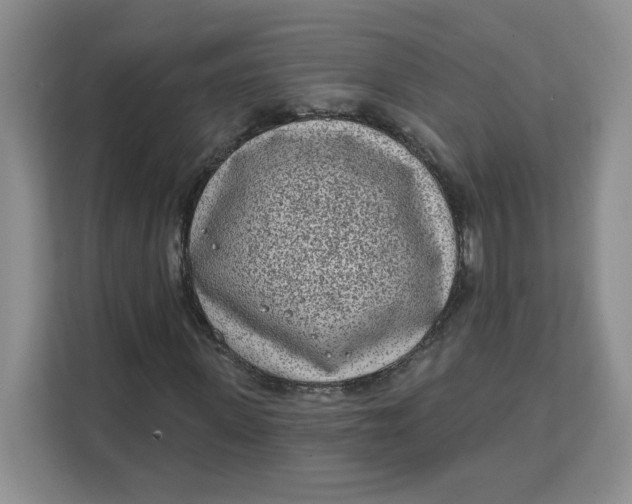 X0000111130915200907141208