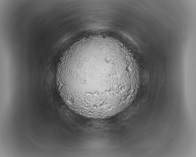 X0000111130917200907141208