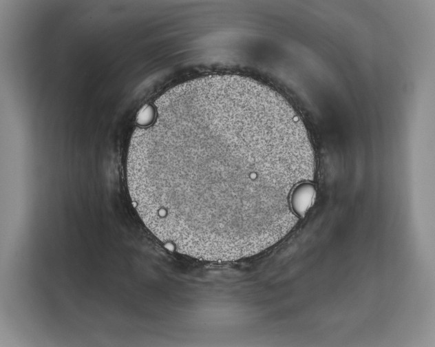 X0000111130918200907141208