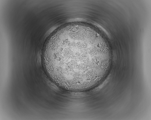 X0000111130921200907141208
