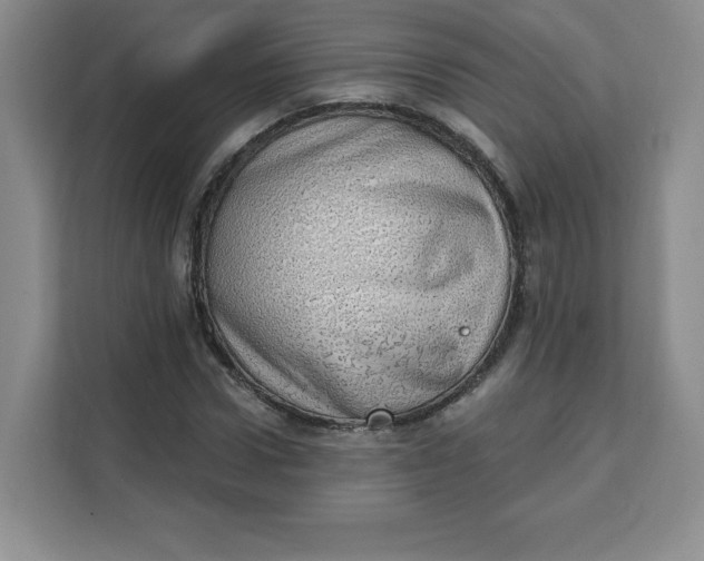 X0000111130922200907141208
