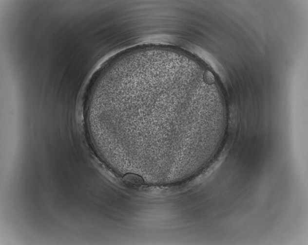 X0000111130923200907141208