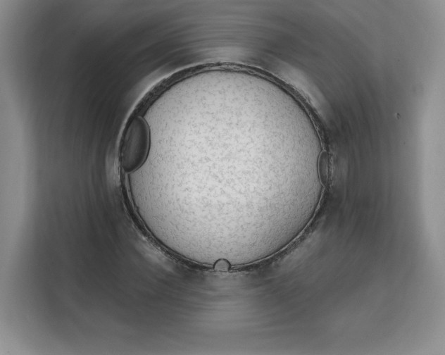 X0000111130924200907141208