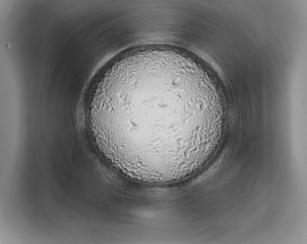 X0000111130925200907141208