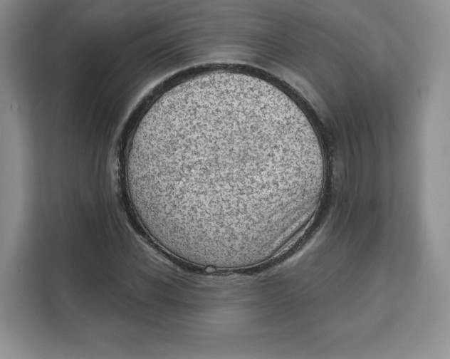 X0000111130926200907141208