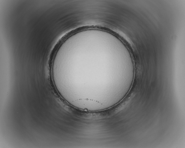 X0000111130927200907141208