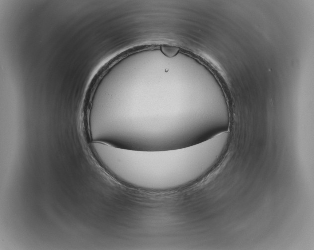 X0000111130928200907141208