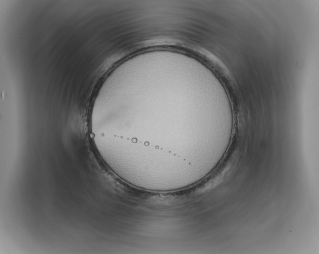 X0000111130929200907141208