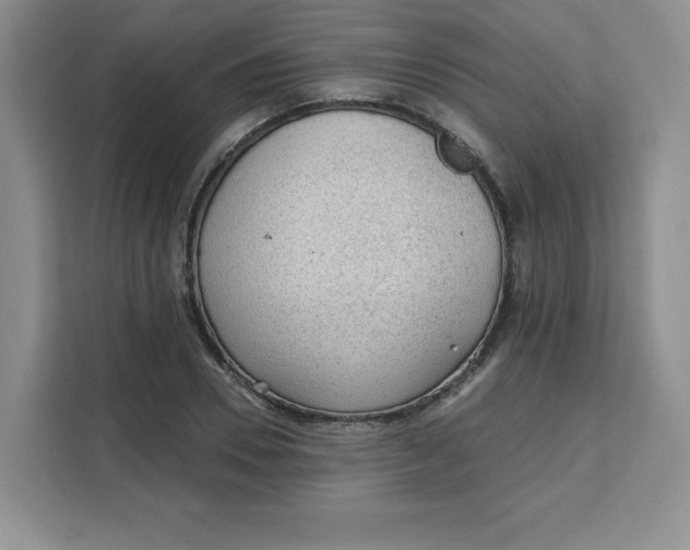 X0000111130930200907141208