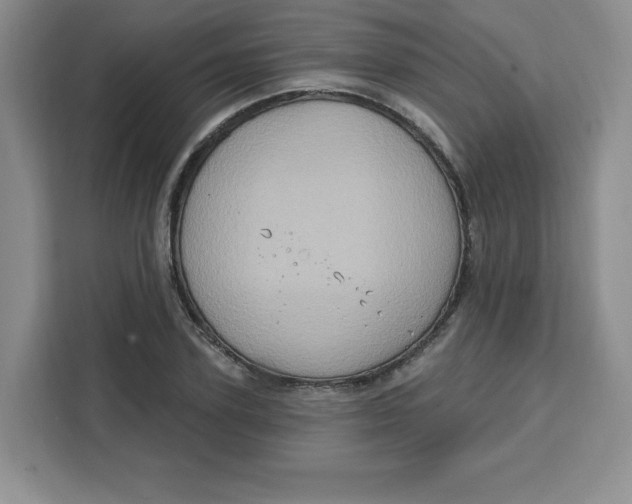 X0000111130931200907141208