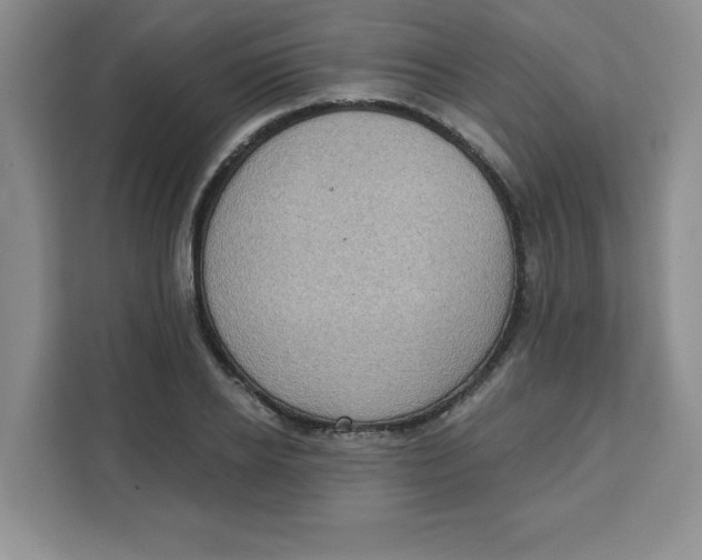 X0000111130934200907141208