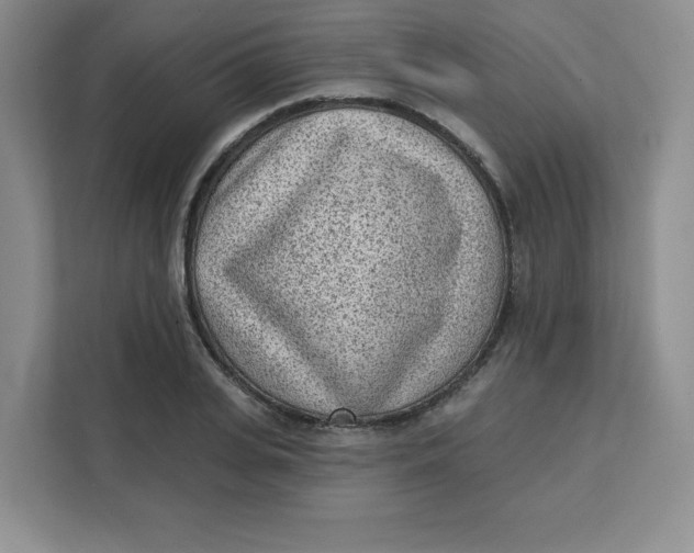 X0000111130935200907141208