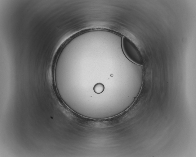 X0000111130936200907141208