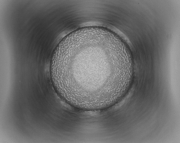 X0000111130937200907141208