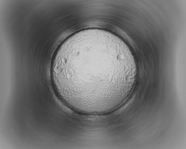 X0000111130938200907141208
