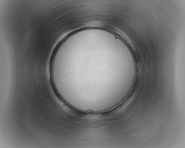 X0000111130939200907141208