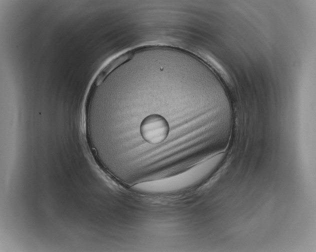 X0000111130940200907141208