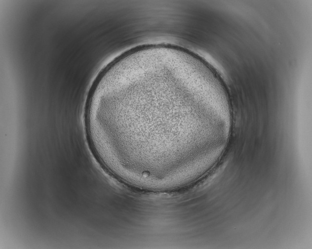 X0000111130943200907141208