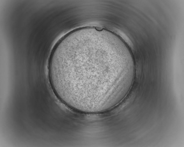 X0000111130944200907141208