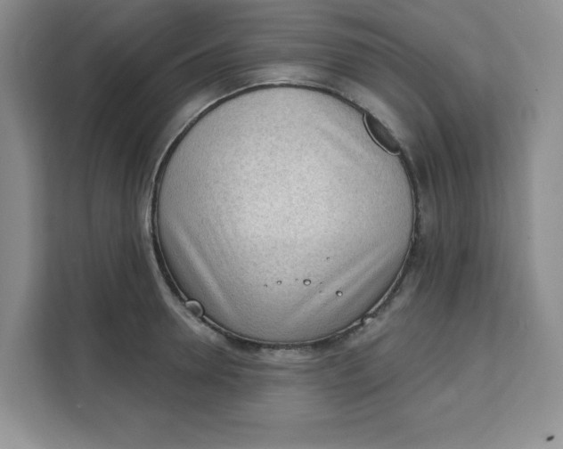 X0000111130946200907141208