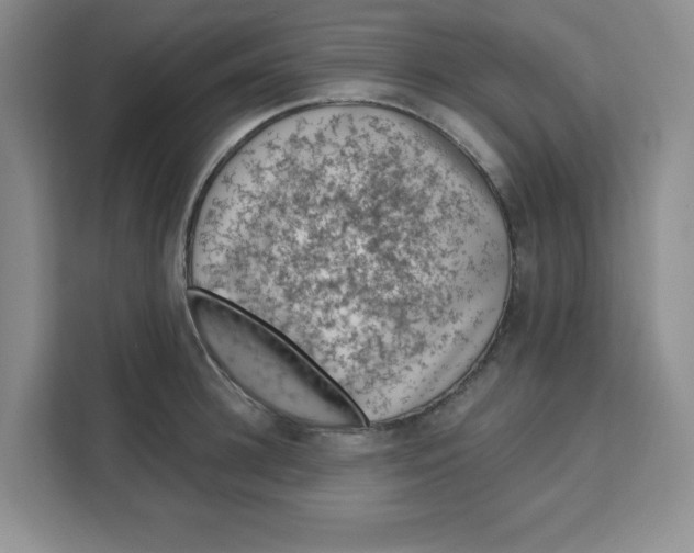 X0000111130948200907141208
