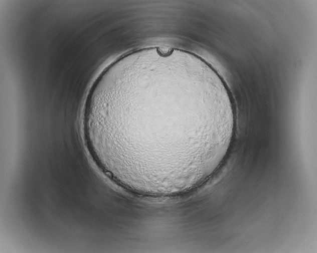 X0000111130949200907141208
