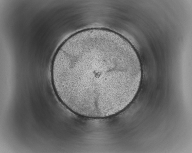 X0000111130950200907141208