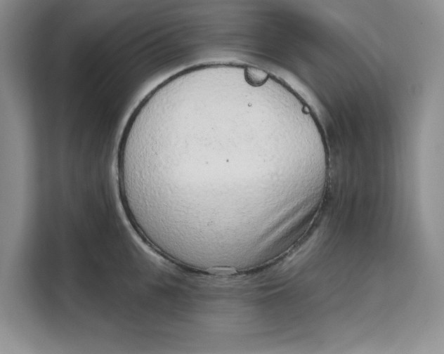 X0000111130951200907141208