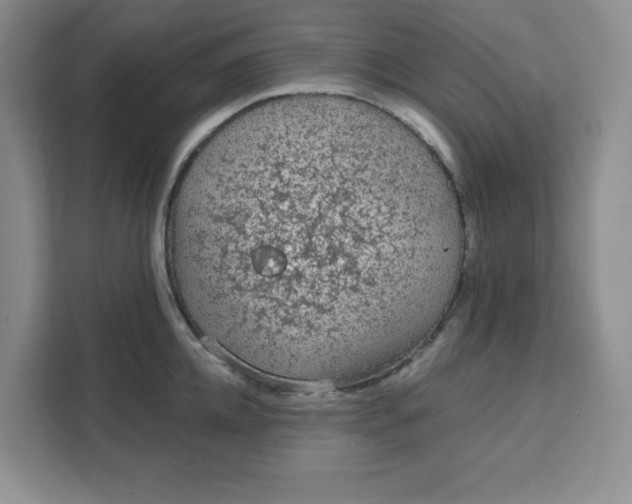 X0000111130952200907141208