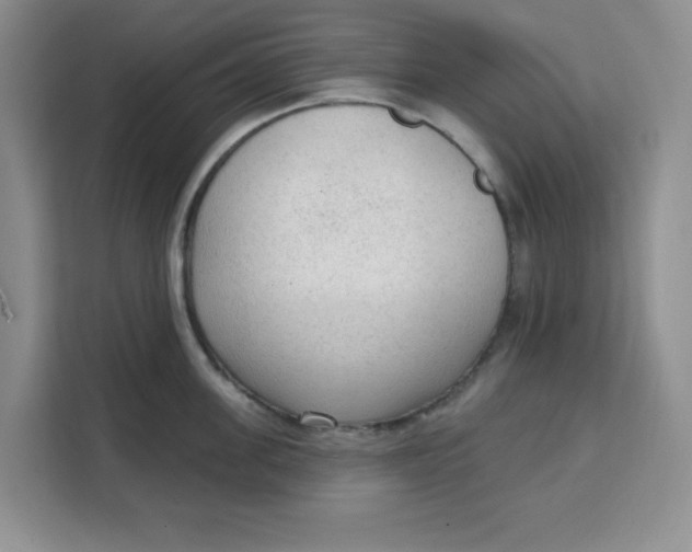 X0000111130955200907141208