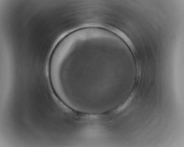 X0000111130958200907141208