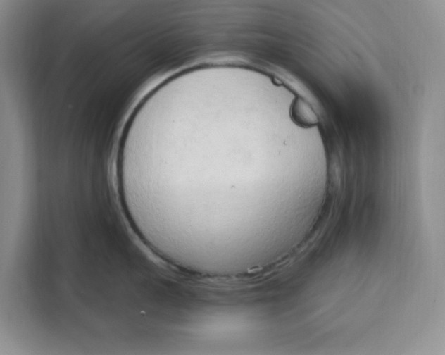 X0000111130959200907141208