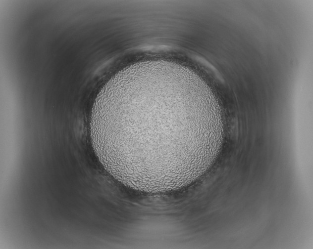 X0000111130966200907141207