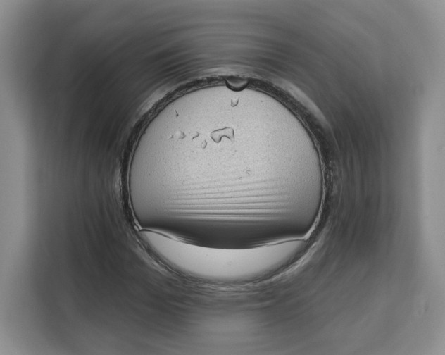 X0000111130969200907141207