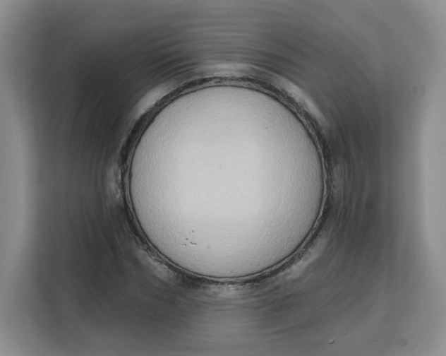 X0000111130970200907141207