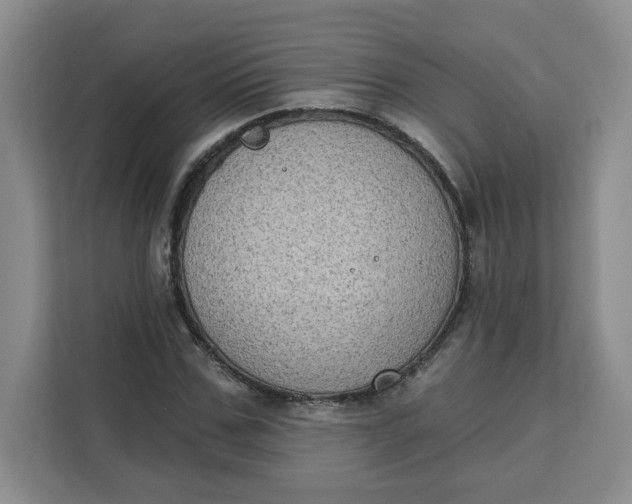 X0000111130971200907141207