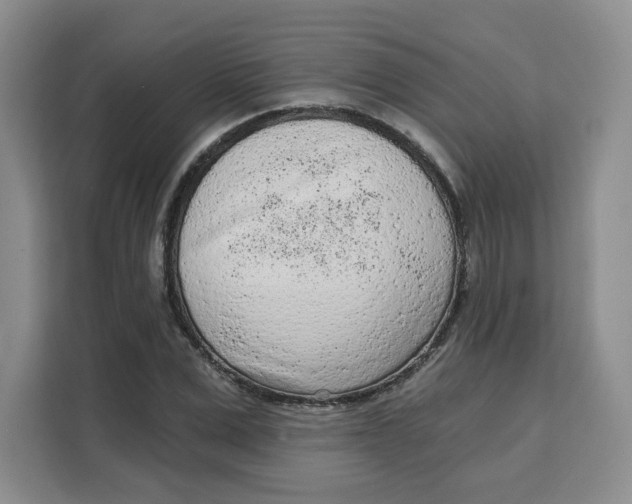 X0000111130975200907141207