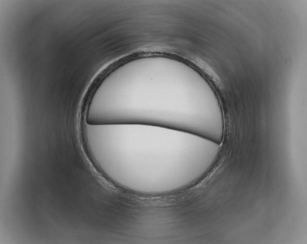 X0000111130976200907141207