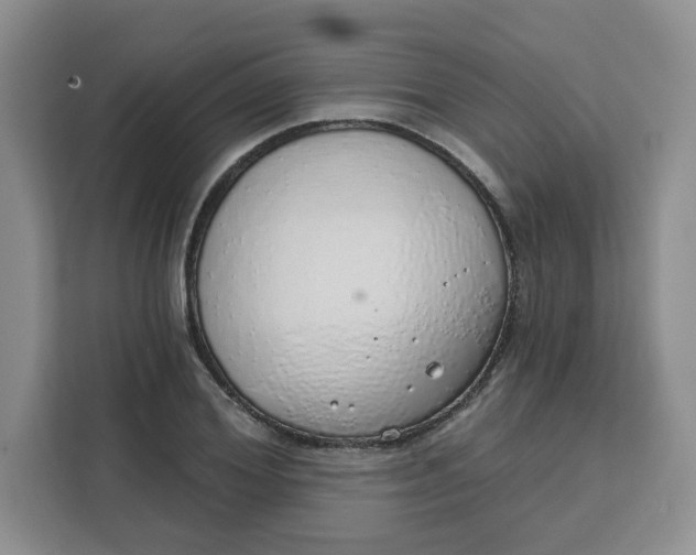 X0000111130980200907141207