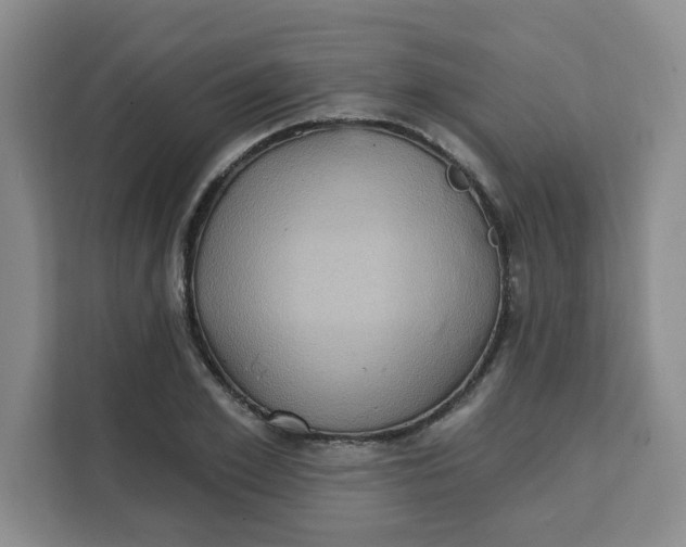 X0000111130981200907141207