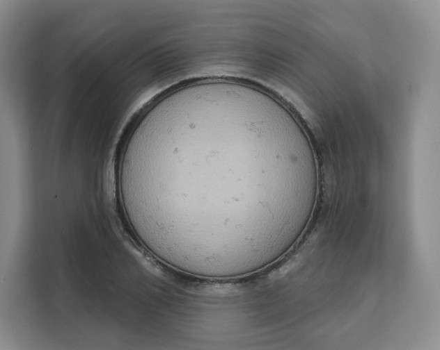 X0000111130982200907141207