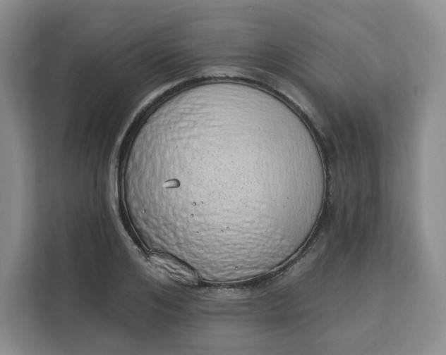 X0000111130984200907141207