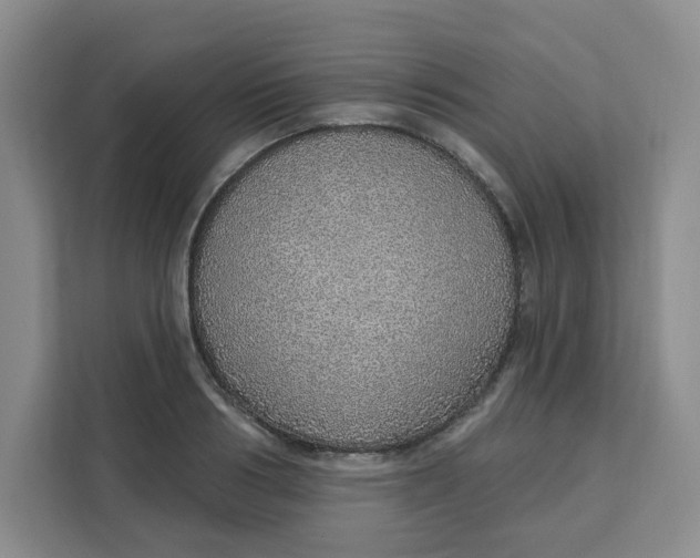 X0000111130986200907141207