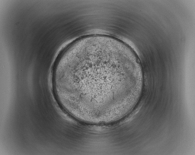 X0000111130987200907141207