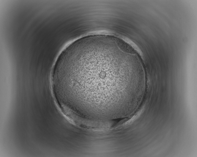 X0000111130989200907141207