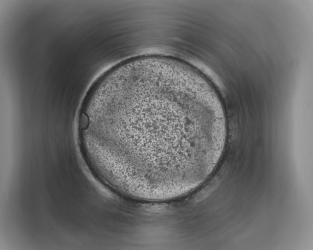 X0000111130991200907141207