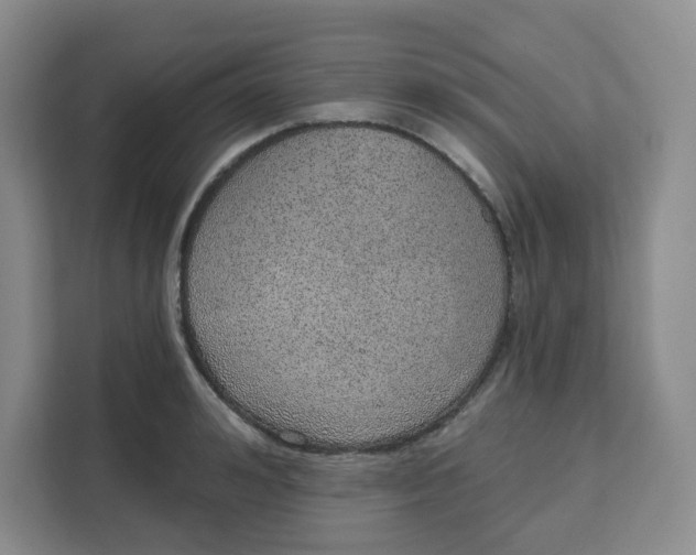 X0000111130992200907141207