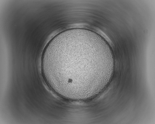 X0000111130994200907141207